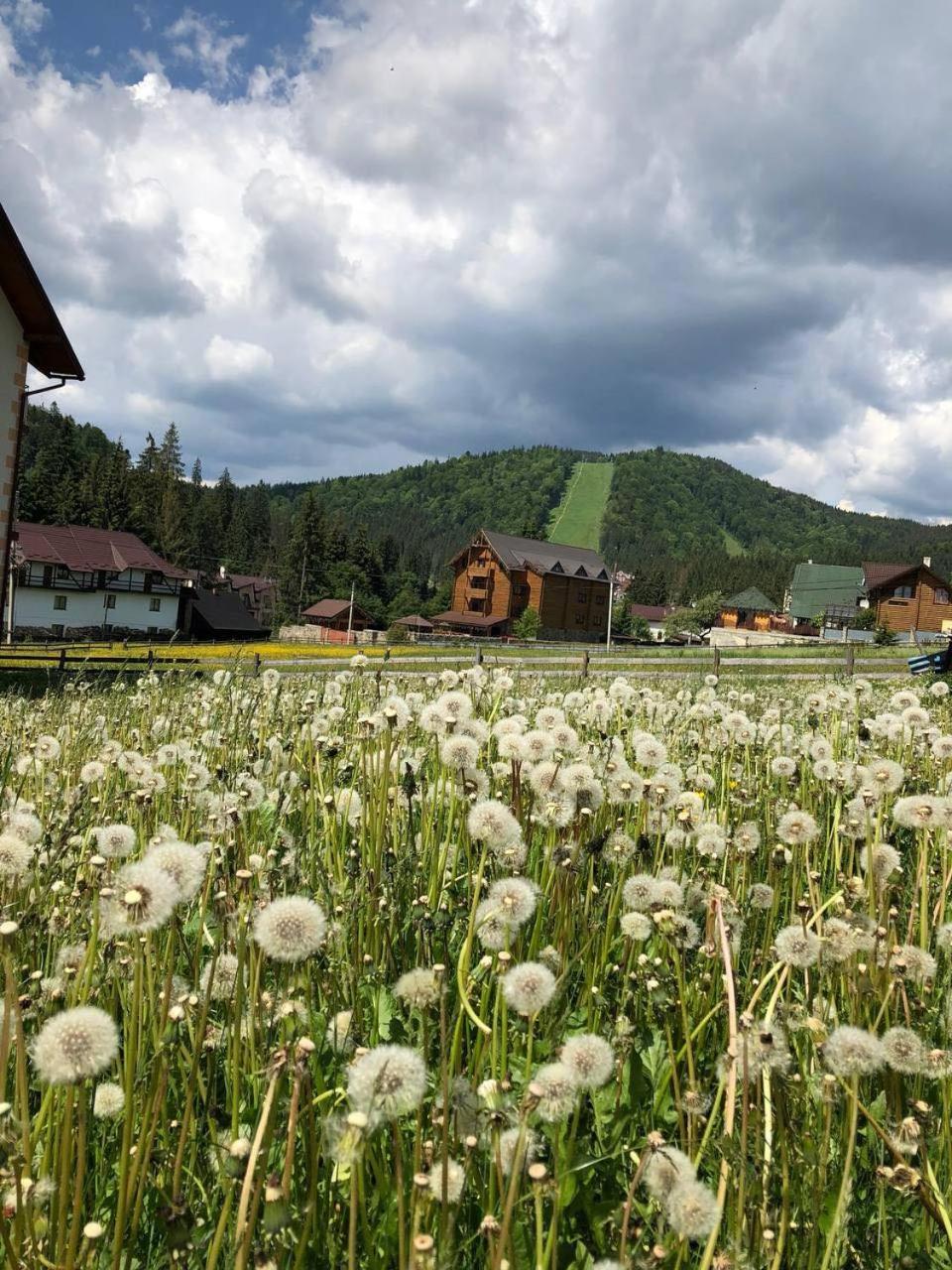 Sadyba U Halyny Sunrise Bukovel Exterior photo