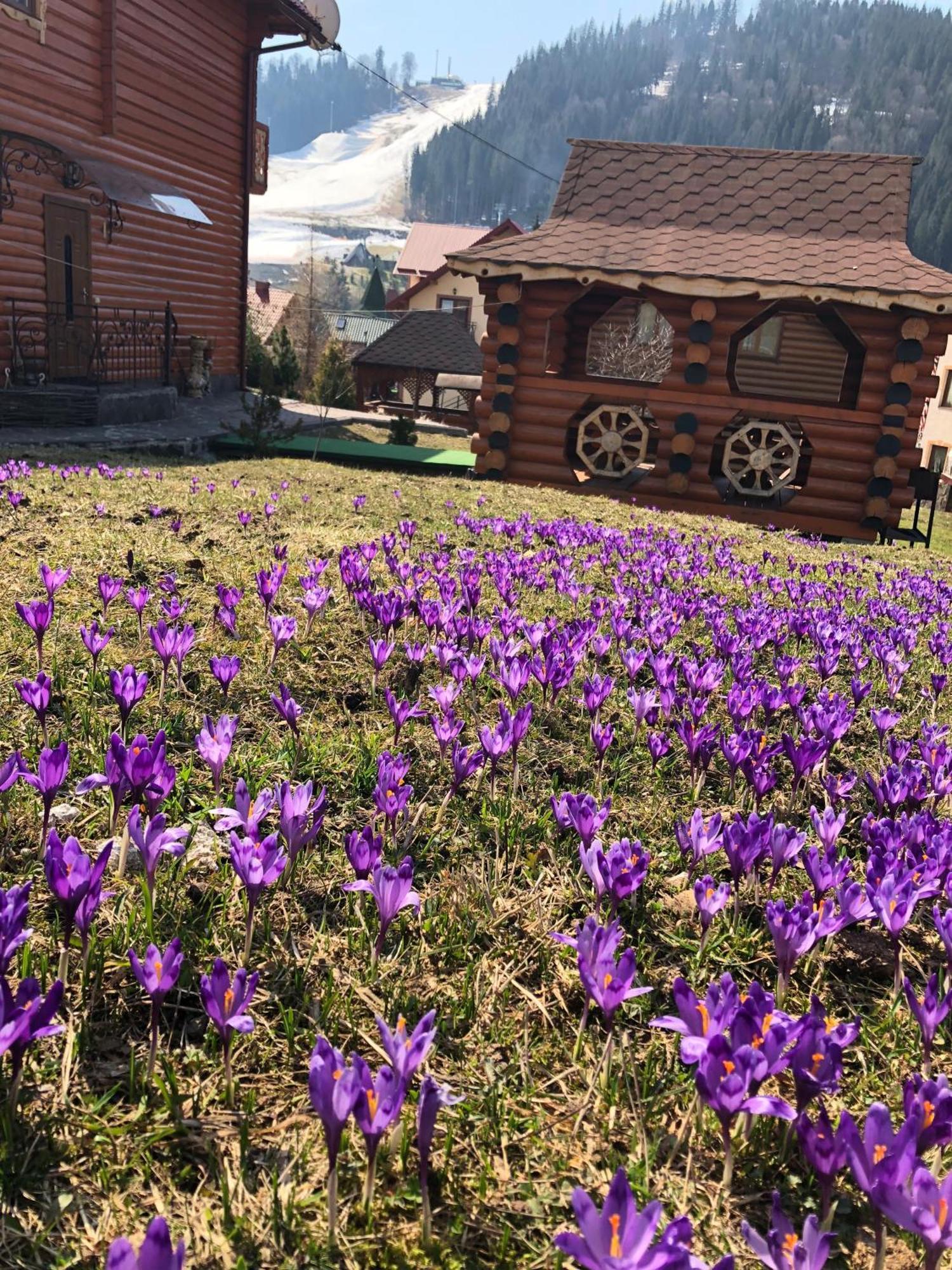 Sadyba U Halyny Sunrise Bukovel Exterior photo
